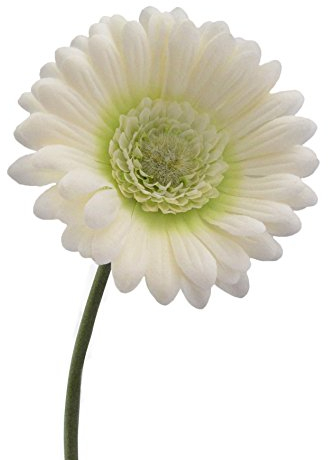 Kunstblumen Gerbera 50cm. Weiß Creme -48