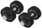 Guss Kurzhantel-Set 70Kg (2 x Kurzhantelstange 40cm, 4x1,25 und 12x5Kg Hantelscheiben) Hantelset Hanteln Gewichte