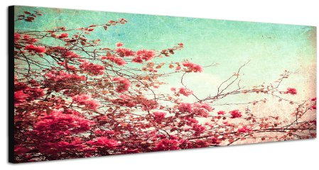 Augenblicke Wandbilder Keilrahmenbild Wandbild 150x50cm Blumen Zweige Blüten Vintage