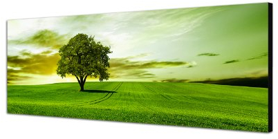 Augenblicke Wandbilder Keilrahmenbild Wandbild 150x50cm Landschaft Wiese Baum Wolkenschleier