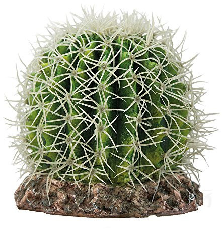 Hobby 37006 Kaktus Sonora, M Cactus, Verde, M, 15 x 15 x 13 cm