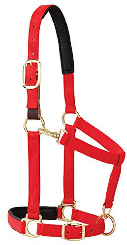 Weaver Leather Gepolstertes Halfter für Kinn und Hals, verstellbar, 2,5 cm durchschnittlicher Zugluft für Pferd oder Jährling, Rot