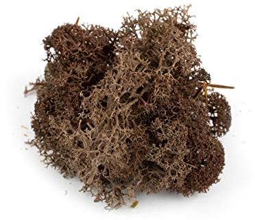 War World Scenics Braune Lichen Modell Moos 60g - Flechte Laub Modellbau Modellbahn Wargame Tabletop Gelände Landschaft Baum Busch Hecke Diorama Basing