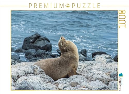 CALVENDO Puzzle Seelöwe | 1000 Teile Lege-Größe 64 x 48 cm Foto-Puzzle für glückliche Stunden
