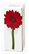Blumenvase zum Aufhängen an der Wand.