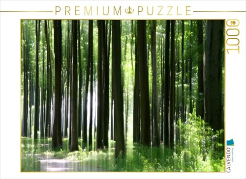 CALVENDO Puzzle Buchenwald | 1000 Teile Lege-Größe 64 x 48 cm Foto-Puzzle für glückliche Stunden