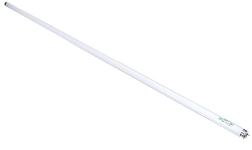 Beverage Air BEV503-230B-02 Model F32T8 Fluorescent Lamp for Compatible Refrigeration Equipment, 32W, 1 Diameter