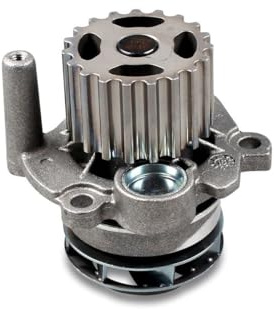 Hepu P569 Wasserpumpe