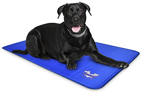 Arf Pets Dog Cooling Mat - Solid Gel Self-Cool Pad | Durable & Non-Toxic