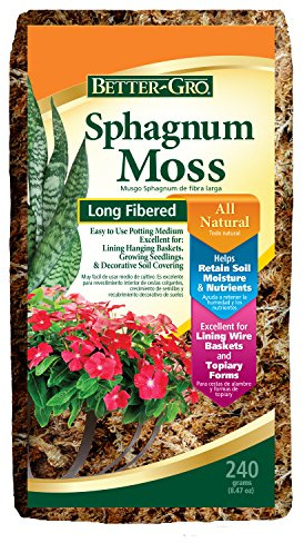 Sol bombilla mejor Gro Sphagnum Moss
