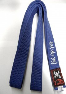 Budodrake Blaugurt Bestickt mit Karate-Do (Bestickung in Silber) Karategürtel blau bestickter Karategurt (350)