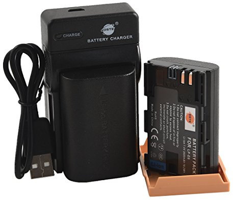 DSTE LP-E6 Li-ION Batterie (2-Pack) et Chargeur USB Costume Compatible pour Canon EOS 5D Mark II III 5DS 5DS R 6D 7D 60D 60Da 70D 7D Mark II III