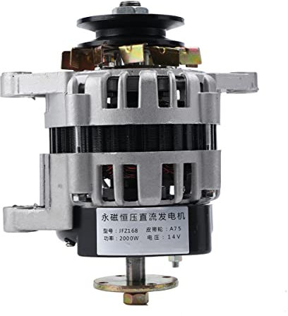 TABODD Generatore di motori permanente, 2000 W, potenza 14 V, piccolo generatore, senza spazzole, magnete permanente a pressione costante, nucleo in filo di rame, per trattore diesel singolo cilindro