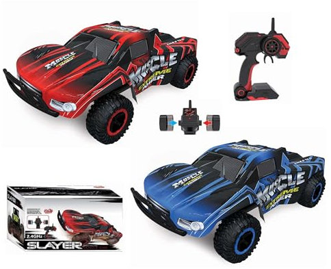 Diawell RC Ferngesteuertes Auto Truck Pick-Up mit Vollfederung 1:18