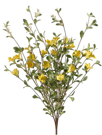 30 Wild Petunia Bush x5 Yellow (pack of 6)