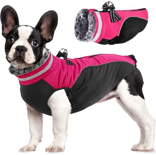 Lairle Hundemantel wasserdichte Hundemäntel Winter Hundejacke Hundekleidung Hundegeschirr Mantel Reflektierender Hundemantel mit Geschirr für kleine mittlere große Hunde