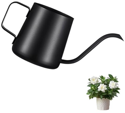 RONMOSNEA Annaffiatoio Innaffiatore Spruzzatore Acqua da 350 ml, nero, piccole piante da interno, mini annaffiatoio in acciaio inox, beccuccio lungo, per piante grasse