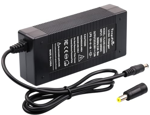 Cargador de Batería 36V 2A Salida 42V 2A para Li-Ion batería eléctrica de Litio Serie 10 36V DC5.5 * 2.1MM