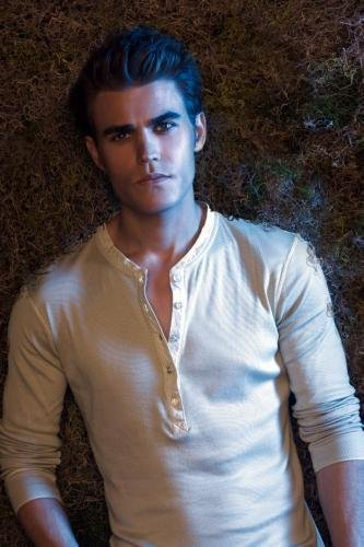 Paul Wesley Mini Poster 28 cm 43 27,9 x 43,2 cm