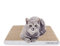 AMZNOVA Katzen Kratzpappe Rescratch Katzen Kratzbrett, Kratzpappe mit Katzenminze, Kratzbrett Kratzbretter Katzenkratzbrett, Breit, Elfenbein