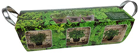 Starterset Komplettset Kräutertöpfe 3er Set Holz mit Saatgut Thymian Basilikum Petersilie und Nährmedium ideal als Kräutergarten
