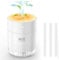 Humidifier for Bedroom Portable Personal Desktop USB Humidifiers with Soft Night Light, Waterless Auto Shut-Off for Home Baby Bedroom Office Travel (White)