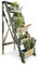 Loberon Pflanzentreppe Madan, für Kräuter & Blumen, Langlebig & Stabil, Antik-Finish, Gartenzubehör, Outdoor, Aufbewahrung, Tannenholz, antikbraun