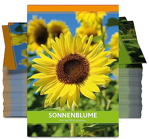 FLORTUS Sonnenblumen Samen für Gastgeschenke (100 Tütchen) | Blumensamen perfekt als Dankeschön Geschenke, Werbegeschenke & Gastgeschenke Hochzeit