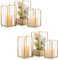Nuptio Portacandele Uragano in Vetro - 6 Pezzi Lanterne Decorative per Pilastro, Portacandele in Vetro Temperato da Esterno per Matrimonio Natale Halloween Soggiorno da Tavolo Camino Casa Decor Oro
