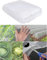 Garden Netting for Veg Patch Fine Mesh, 2X5m Insect Protection Net, Garden Vegetable Plant Protect Netting, Anti Bird Butterfly Netting, Tunnel Fine Mesh for Flowers Crops Fruits Greenhouse (2X5)