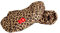 Leopard - WOBS - Manchons pour vélo
