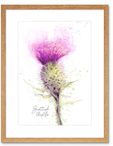 Wee Blue Coo Scottish Thistle Flower Head Watercolour Scotland Framed Art Print