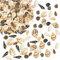 148 Pcs 6 Styles Muscheln, Muscheln Zum Basteln, Muschelmix, Conch Ohne Loch Ocean Beach Muschel Deko, Schneckenhäuser Zum Basteln Für Armbandschmuck, Kunst, Heimtextilien, Aquarium Und Vasenfüller