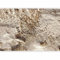 murando - Papier peint panoramique artistique 100x70 cm - Revêtement mural décoration pour chambre salon cuisine - Design unique et moderne - Blanc marron vert - f-B-10041-a-a