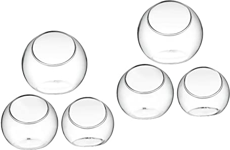 CIYODO 6 Stück Glas-Terrarium-Pflanzschalen für Schreibtischbehälter für Luftpflanzen und Miniatur-Displays