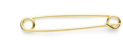 Shires Plain Gold Plated Stock Pin (5.25cm)