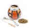 BALIBETOV Kit Mate Argentino - Set de Mate de Calabaza Natural Hecho a Mano en Argentina - con Bombilla (Sorbete) para Yerba Mate (Natural 02)