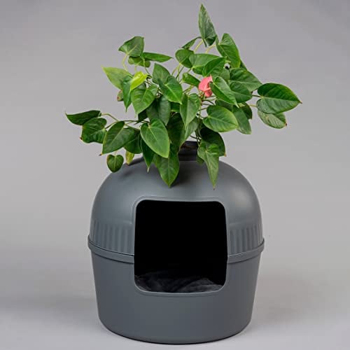 RHRQuality Bac à litière - Flower XXL Blackline – Toilettes pour Chat dissimulées – pour Grands Chats – avec Grande entrée (51 cm) et Partie supérieure Amovible – Anthracite
