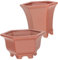 BESPORTBLE 2 Piezas Maceta De Planta De Cerámica Maceta De Barro Agujero Macetas De Terracota para Plantas Linda Maceta Pequeñas Macetas Macetero De Barro Rojo Macetas De Planta Drenaje