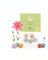 Nachhaltiges Dankeschön-Geschenk: 5 bunte Blumenmurmeln | Farbenfrohe Seedbombs mit Wildblumensaatgut | Als Gastgeschenk, Dankeschön & kleine Aufmerksamkeit | 100% ökologisch und mind. 2 Jahre haltbar