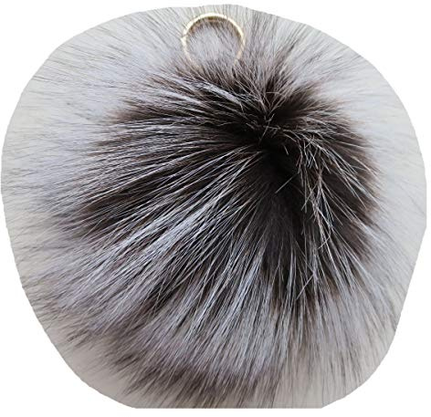 DTLDYG Veritable Renard Fourrure Pompon Fluffy Boule Clé Pendant Sac Pendant (Renard Argenté Coloré)