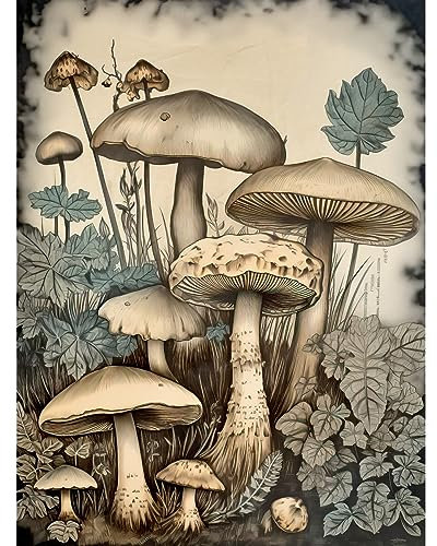 Artery8 Mushroom Fungi Watercolour Vintage Cottagecore Aesthetic Rustic Decor Unframed Wall Art Print Poster Home Decor Premium