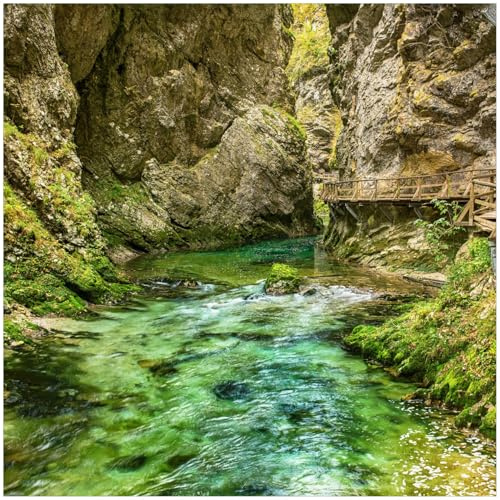 Wallario Memoboard aus Glas mit Motiv, Magnet-Tafel in 50 x 50 cm in Premium Qualität Durch die Klamm