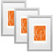 WOLTU Bilderrahmen 15x20 cm, Fotorahmen zum vertikalen oder horizontalen Aufhängen/Aufstellen, Holzrahmen mit Passepartout, Set of 3 Posterrahmen Collage Wanddeko, Silber