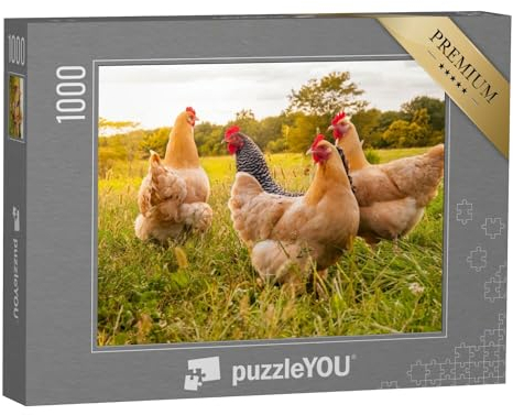 puzzleYOU: Puzzle 1000 Teile „Hühner auf der Wiese“ – aus der Puzzle-Kollektion Hühner & Küken, Bauernhof-Tiere