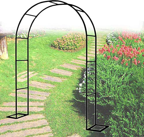 Lnder Hochzeits Rosenbogen Breite80xHoch200cm Metall Gartenbogen Verzinkt Rankhilfen Pflanzenbogen Einfache Installation (Size : W80xH200cm/31x79inch)