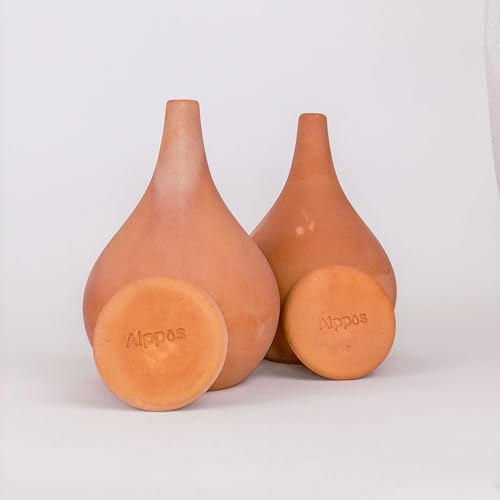 Alppos 2 Oyas à Planter de 0,8 Litre en Terre Cuite avec Couvercle - ollas pour Plante intérieure et extérieure - Goutte à Goutte par capilarité