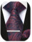 Enlision Krawatten Set für Herren mit Einstecktuch und Krawattennadel Paisley Burgunder Hochzeit Business