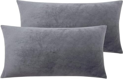 Soifox 2er Set Kissenbezug 40x60cm - Grau Samt Zierkissenbezüge Weich Flauschig Kuschelig Kissenbezüge Deko Kissen Sofakissen Lendenkissen Wurfkissenbezug Schlafzimmer Kissenhülle