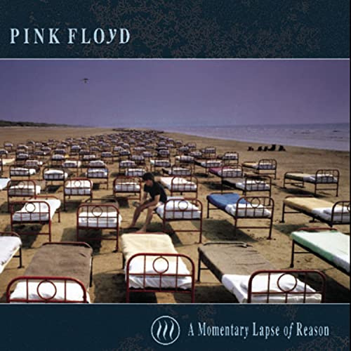 Momentary Lapse of Reason